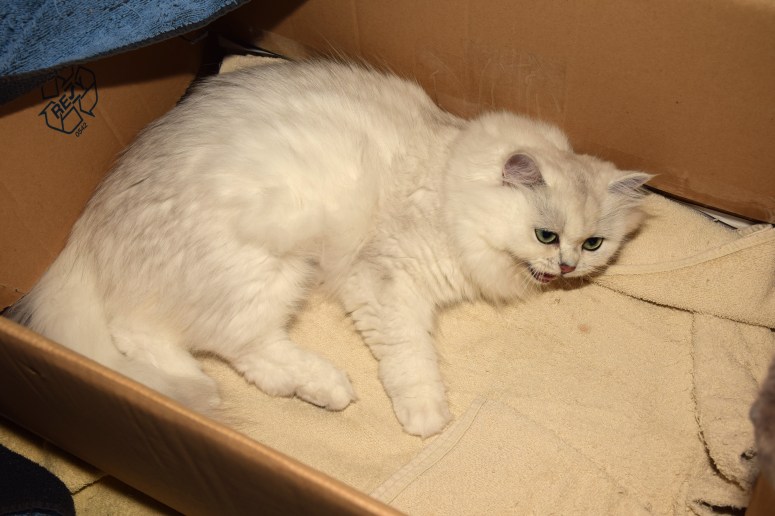 Bevalling 2015-07-15, 01