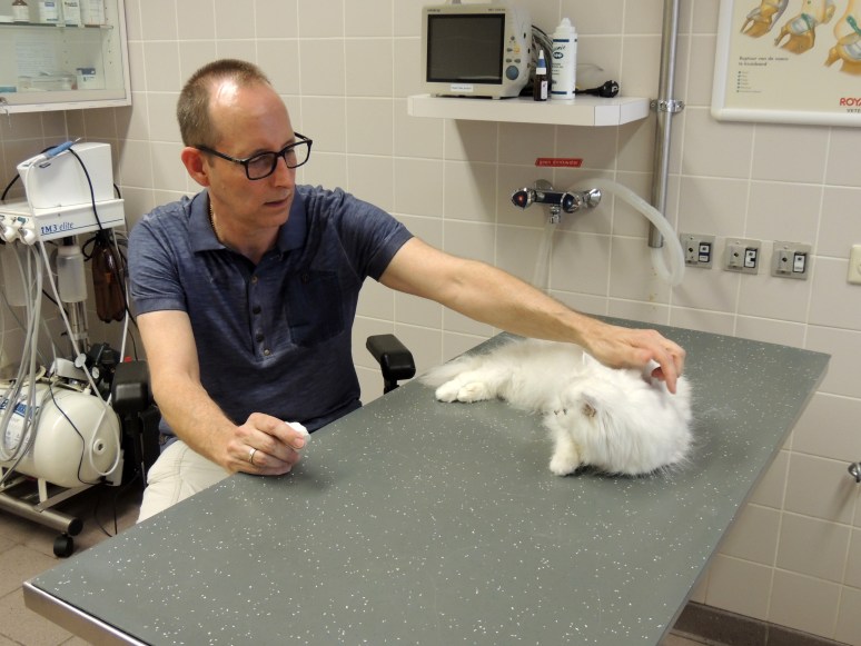 Bevalling 2015-07-15, 11