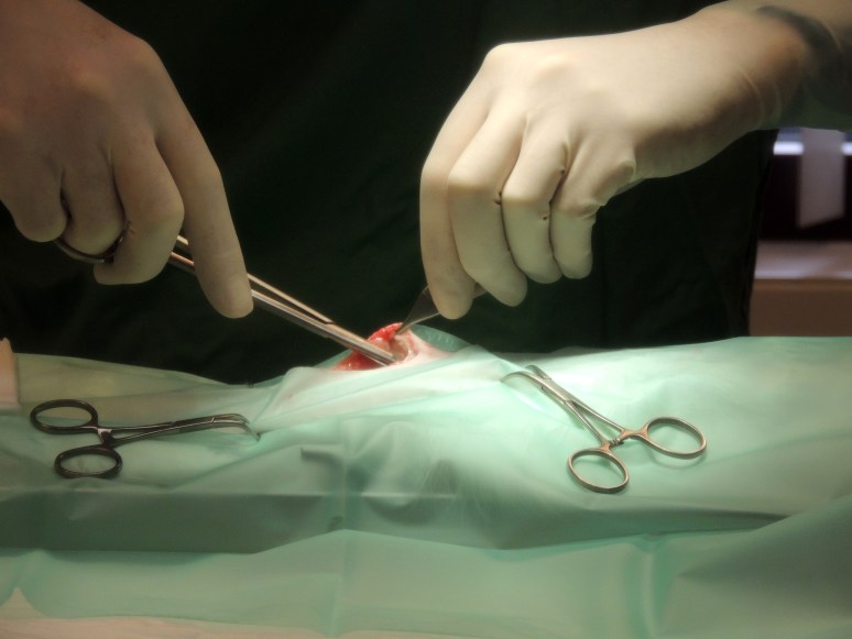 Bevalling 2015-07-15, 27