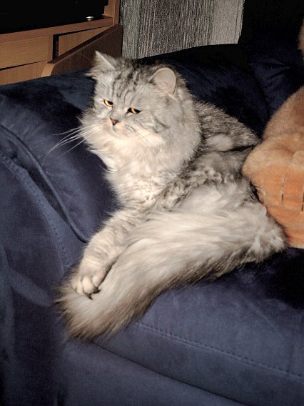 Britney 2003-01-12, 01