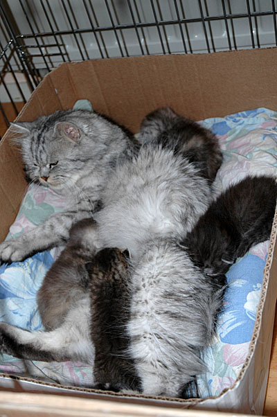 Britney en kids 2005-06-30, 01