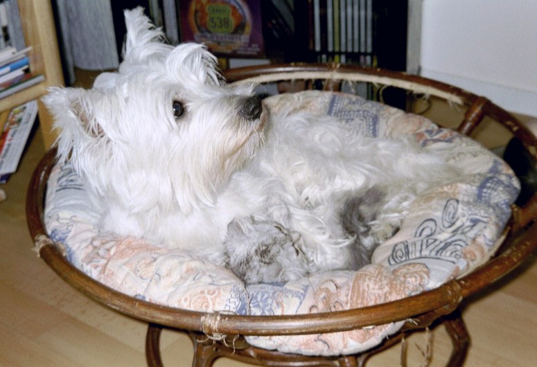 Demi en Britney 2000-09-11, 04