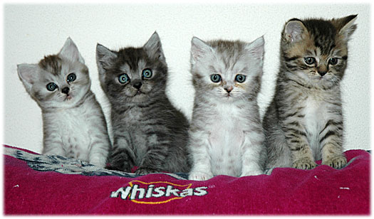 Kids 2005-07-24, 08a