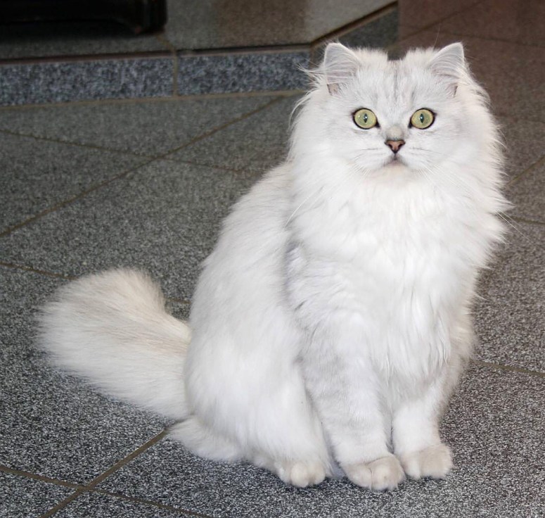 Stanley 2015-05-16, 01_uitnede