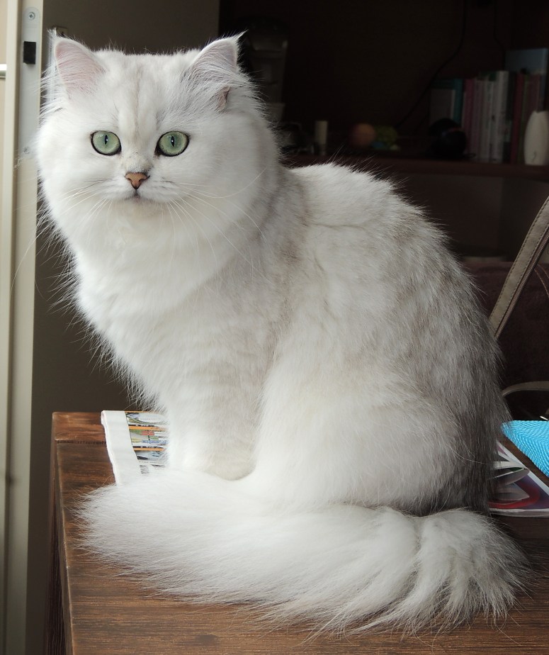 Ushi 2014-10-30, 06_uitsnede