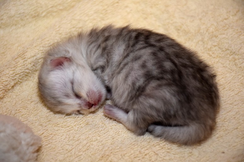 WK01_033 Trinity 2015-07-17