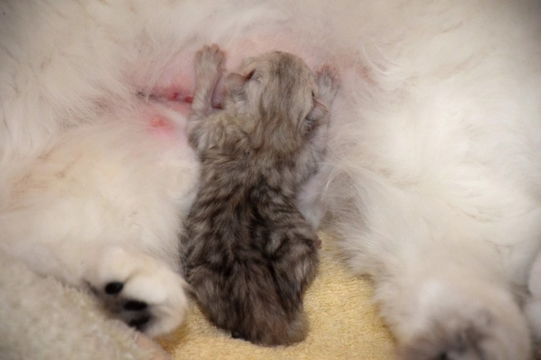 WK01_037 Trinity 2015-07-17