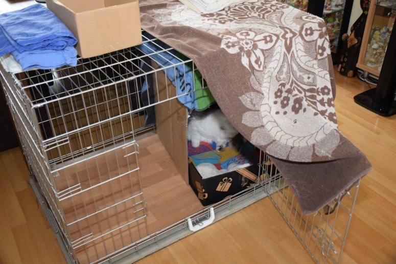 WK01_062 Ushi en Trinity 2015-07-19