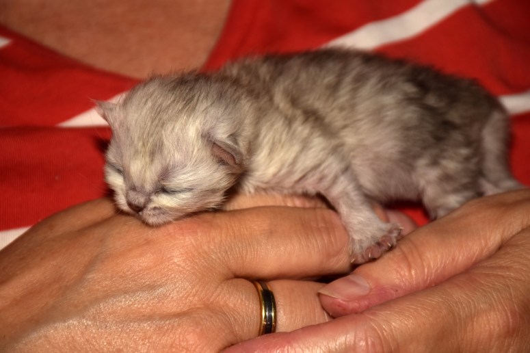 WK01_067 Trinity 2015-07-19