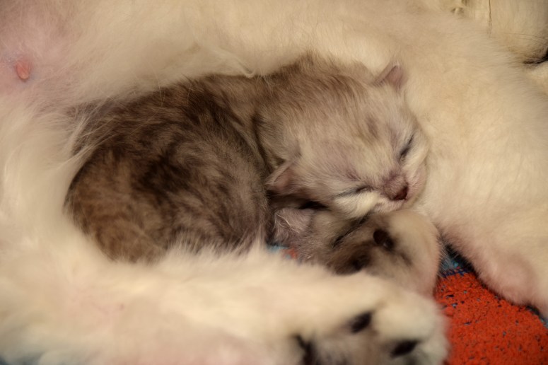 WK01_085 Trinity 2015-07-20