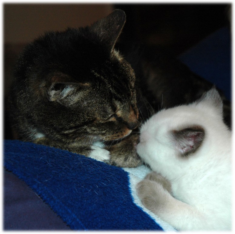 Shanna-en-Moppie-2010-01-23,-01