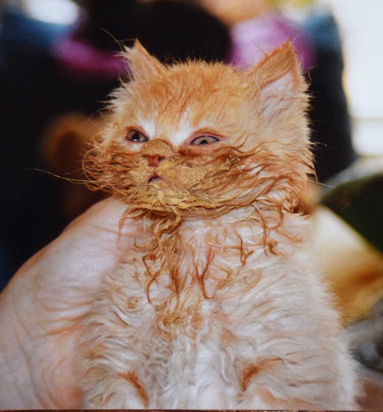 Banjer 2004-06-21, 01a