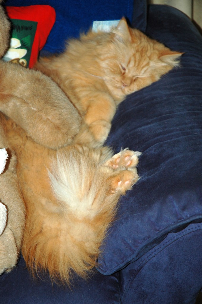 Banjer 2008-12-09, 01