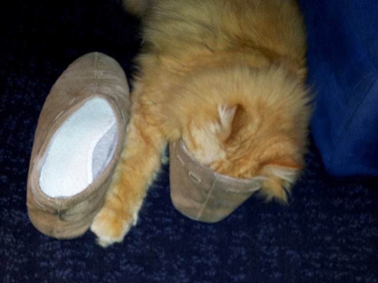 Banjer 2011-10-31, 02