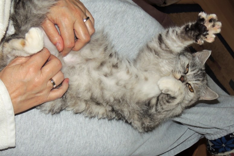 Bleu Tess 2013-05-19, 04