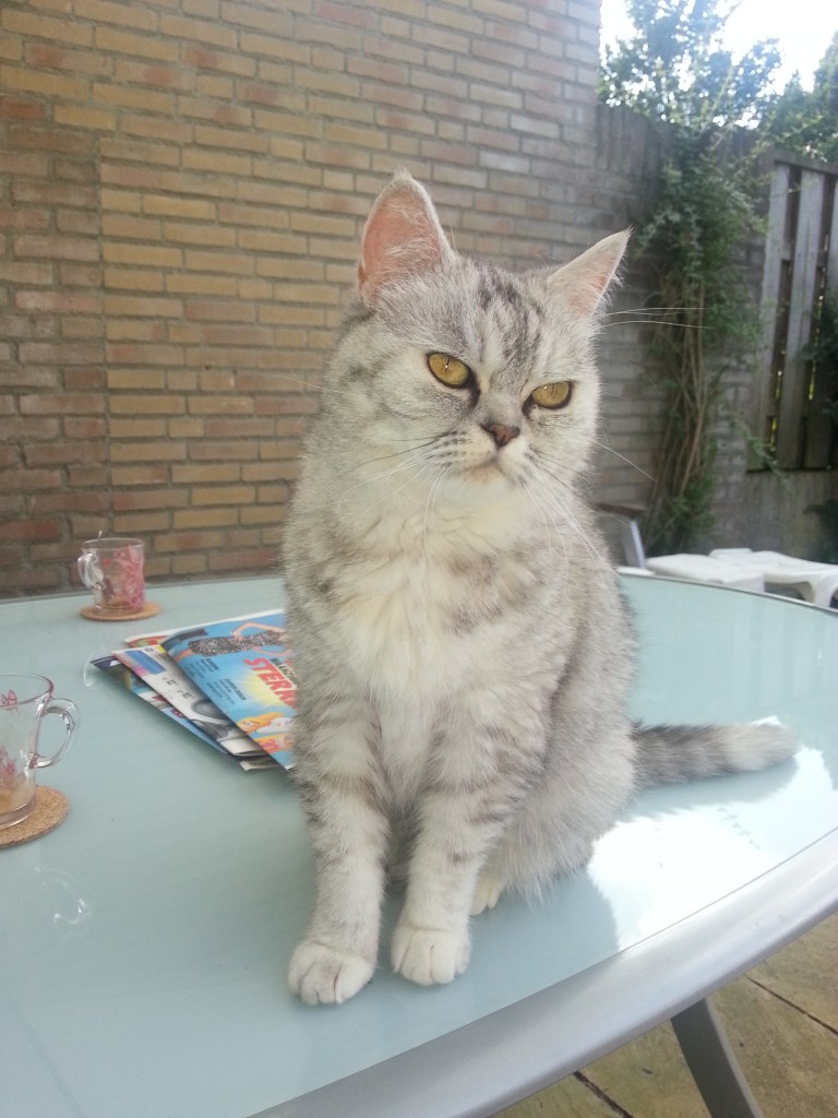 Blue Tess 2012-07-02, 01