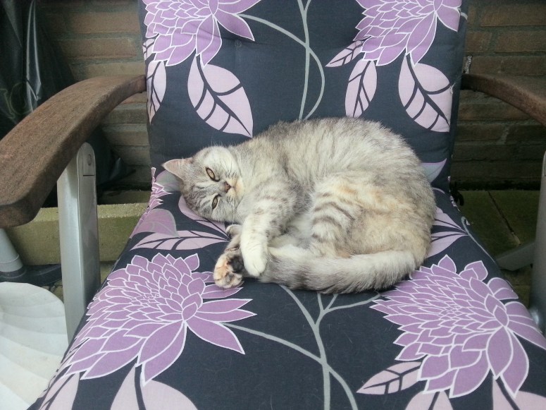 Blue Tess 2012-09-10, 03