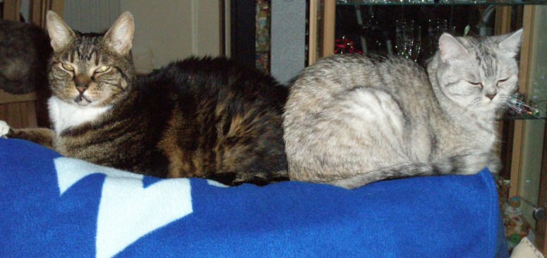 Blue Tess en Moppie 2007-03-25, 01