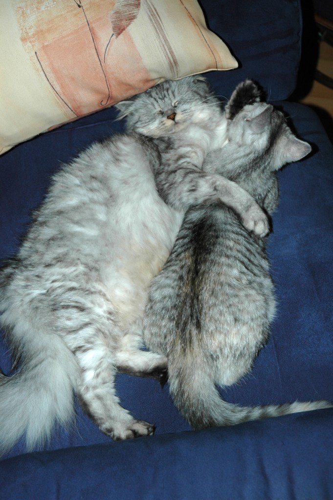 Britney en Blue Tess 2005-10-11, 03