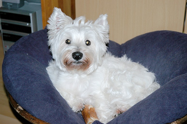 Demi, 2004-07-15, 02