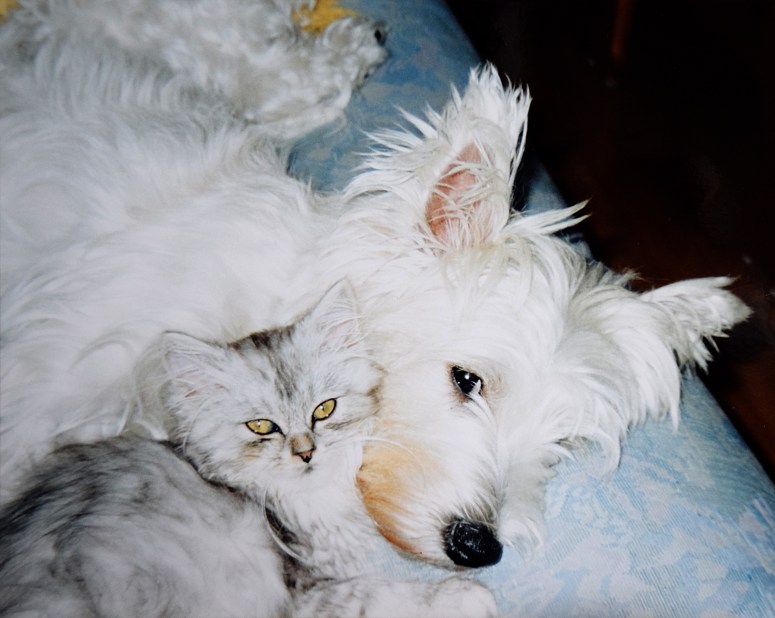 Demi en Britney 2000-09, 01a