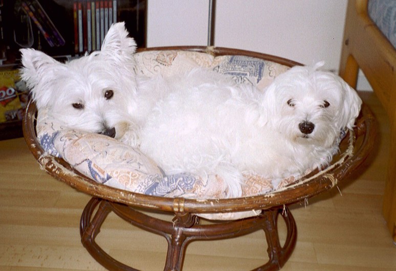 Demi en Quincy 2000-08, 01