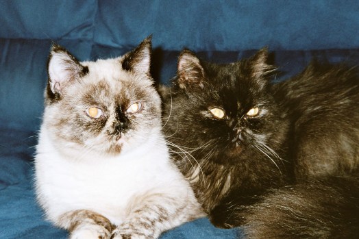 Feline en Jessie 2003-10-29, 03