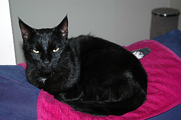 Gabber 2004-09-25, 01