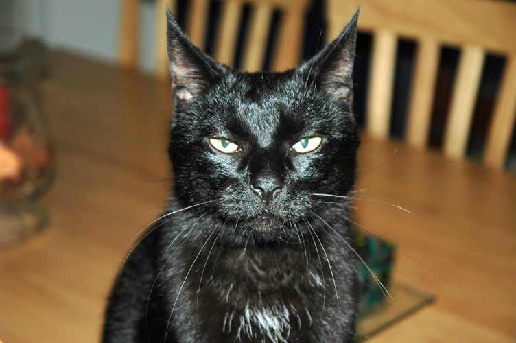 Gabber 2007-09-13, 01