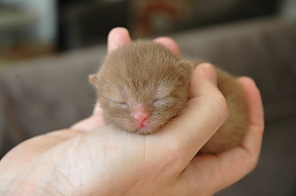 Healey 2004-07-29, 01