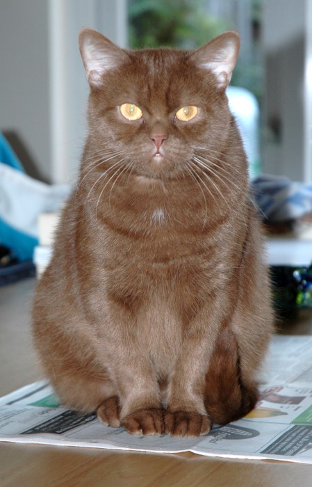 Healey 2008-09-18, 04a