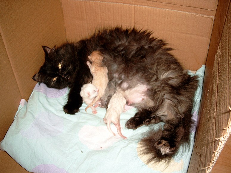 Jessie en kids 2004-05-10, 05