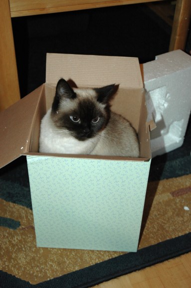 Laleh 2009-10-30, 06