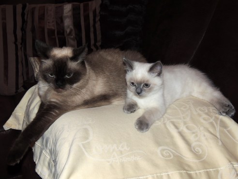 Laleh en Mili 2014-07-13, 02