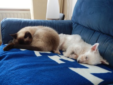 Laleh en Quincy 2012-09-17, 02