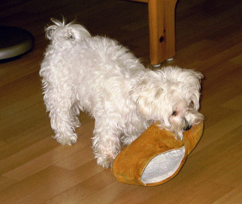 Quincy 2000-08-26, 01