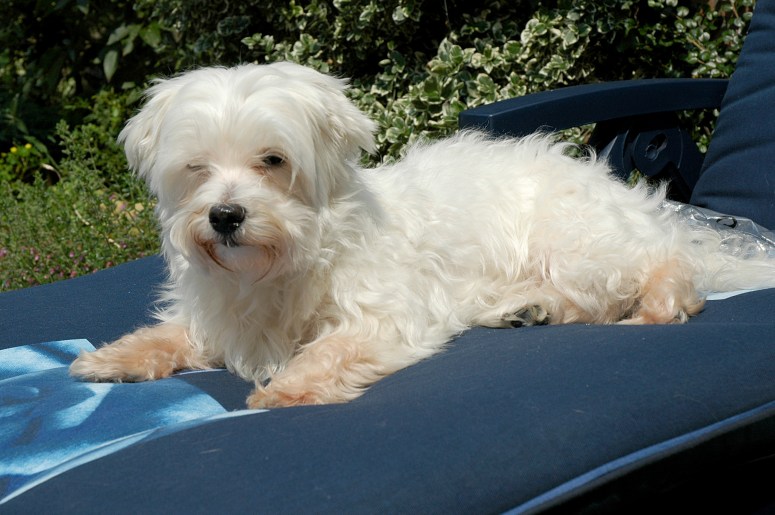 Quincy 2004-08-01, 01