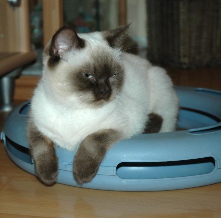 Shanna 2011-01-05, 02