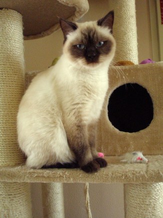 Shanna 2011-06-23, 01