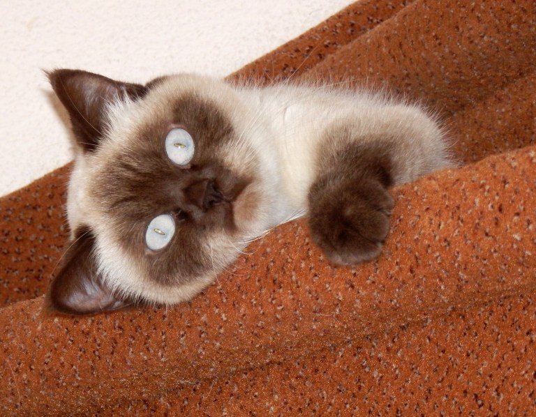 Shanna 2012-06-21, 01