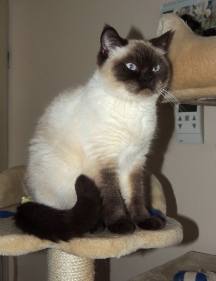 Shanna 2013-05-08, 02