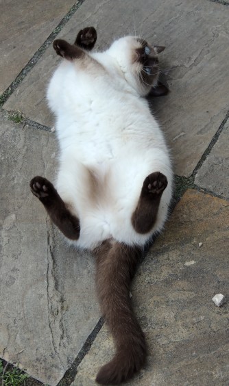 Shanna 2013-07-08, 01