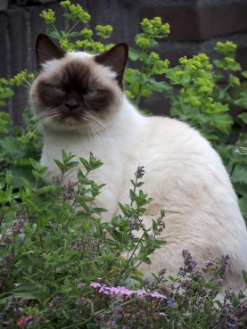 Shanna 2014-06-02, 03