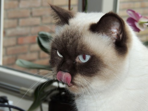 Shanna 2014-10-12, 01