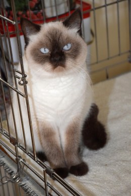 Shanna 2015-09-15, 01