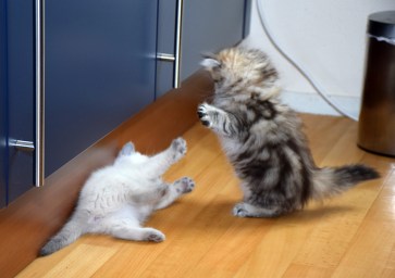 WK07_2016-05-23_126_Aislinn en Teigen