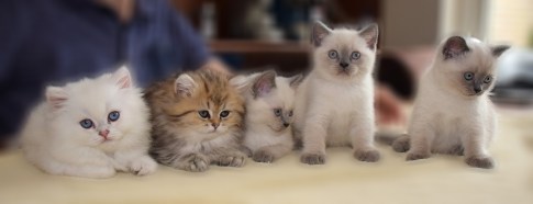 WK08_2016-05-29_079_uitsnede