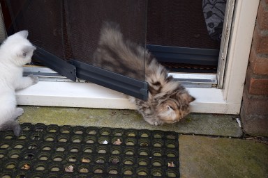 WK09_2016-06-04_053_Aislinn en Teigen