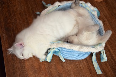 WK12_2016-06-27_037_met Elsha