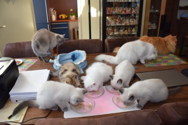 WK13_2016-07-02, 028